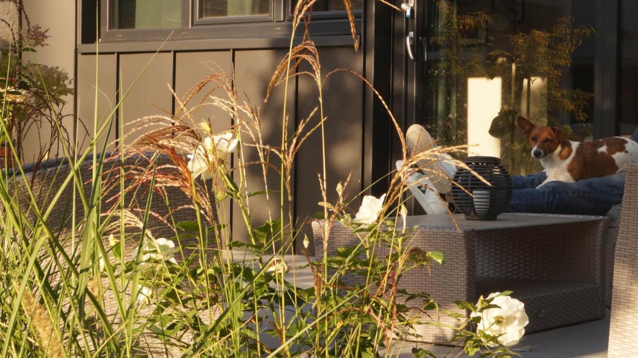 Les Terrasses De Templeuve住宿加早餐旅馆 外观 照片